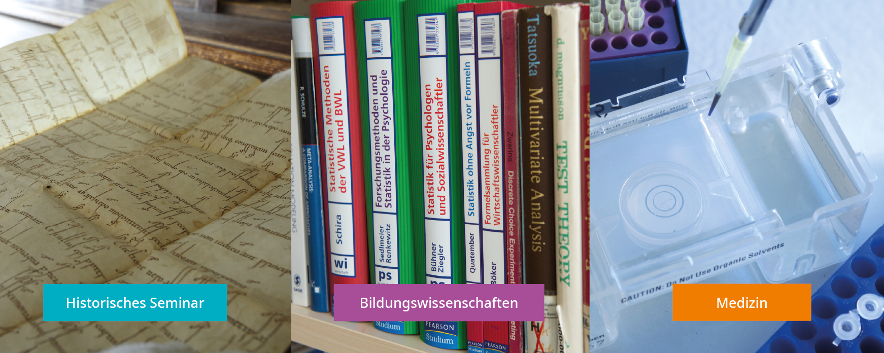 Die Communities of Practice der Pilotphase